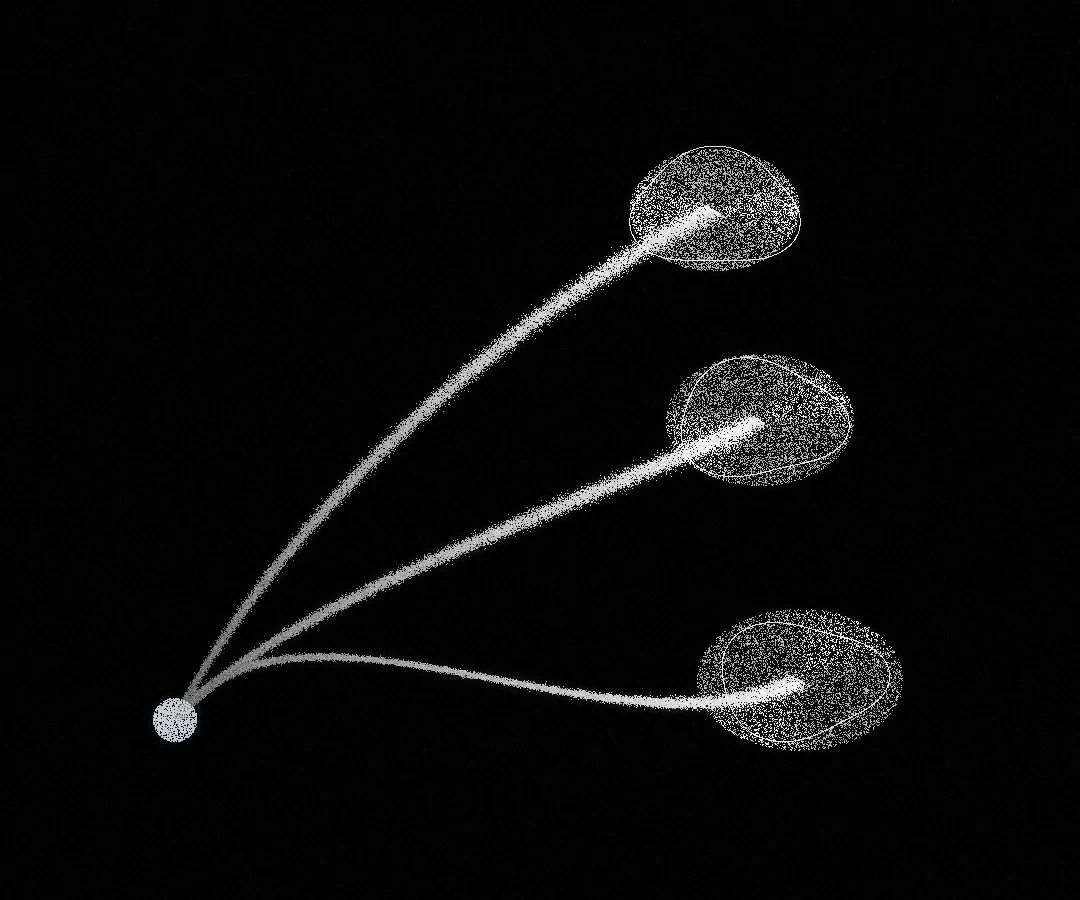 Three independent particle-built structures connected to a shared origin